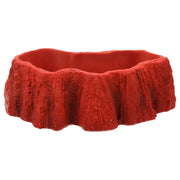 ProRep Beardie Billabong Pool - Reptiles By Post