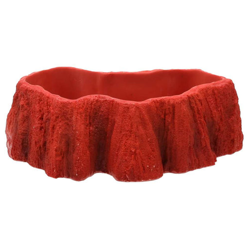 ProRep Beardie Billabong Pool - Reptiles By Post