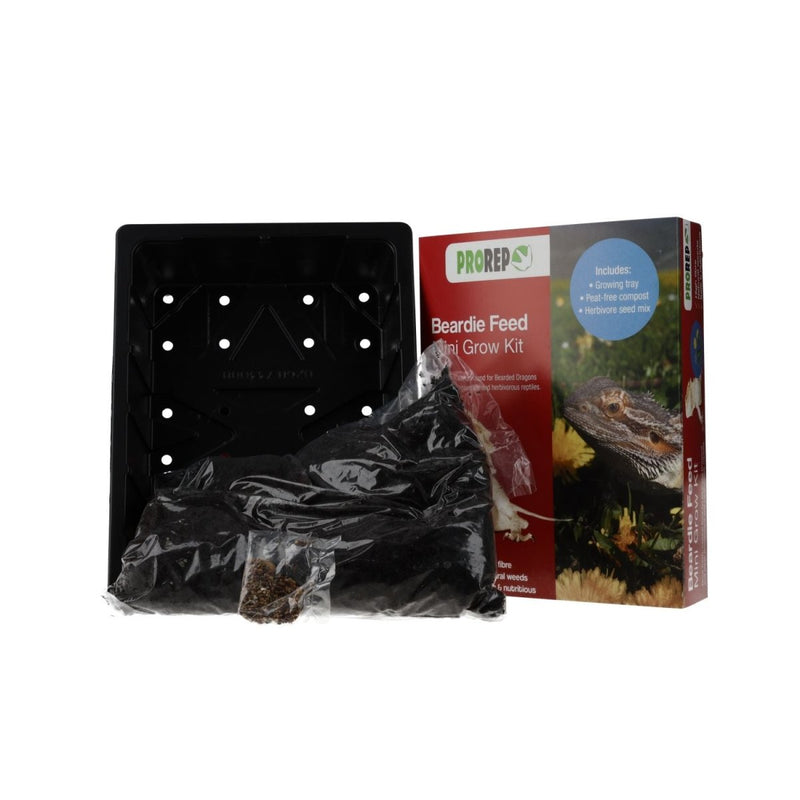 ProRep Beardie Feed Mini Kit - Reptiles By Post