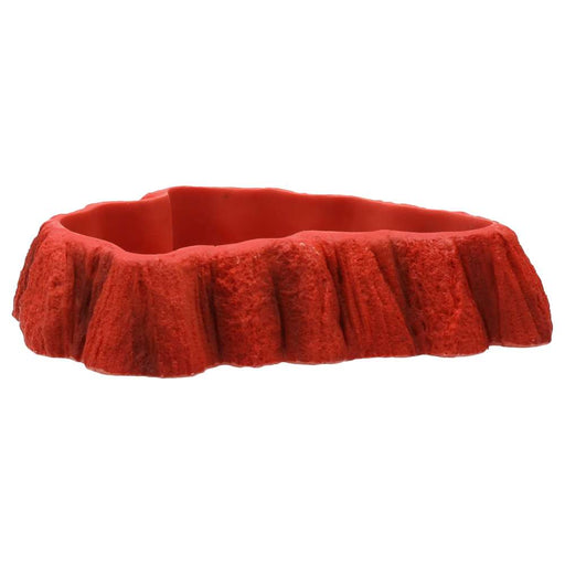 ProRep Beardie Tucker Feed Dish - Reptiles By Post