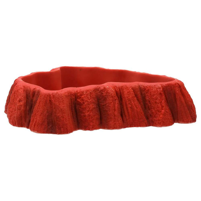 ProRep Beardie Tucker Feed Dish - Reptiles By Post