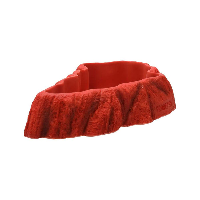 ProRep Beardie Tucker Feed Dish - Reptiles By Post