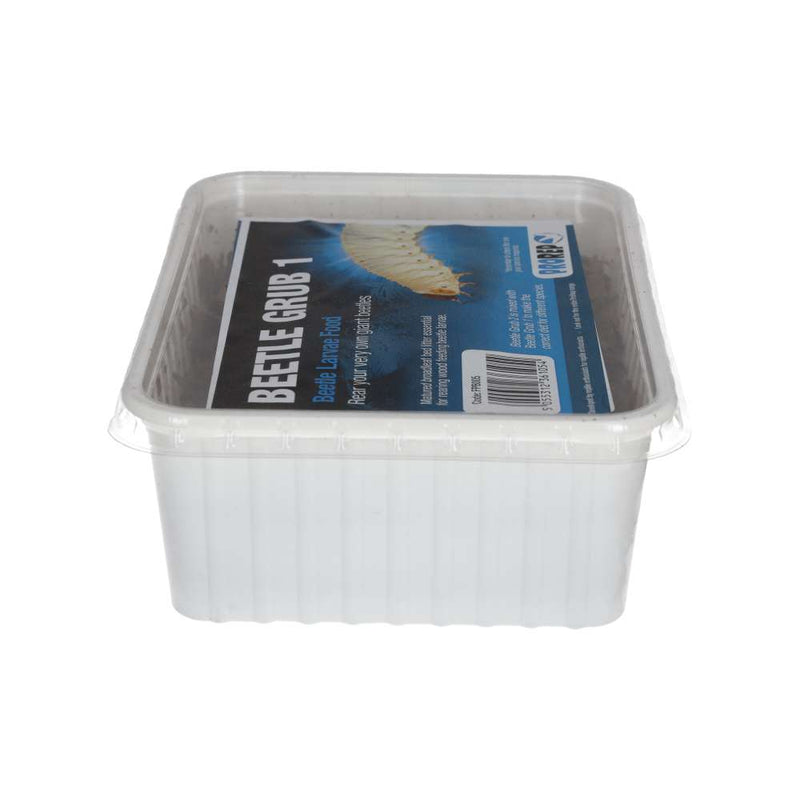 ProRep Beetle Grub 1 - Reptiles By Post