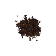 ProRep Beetle Grub 1 - Reptiles By Post