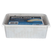 ProRep Beetle Grub 1 - Reptiles By Post