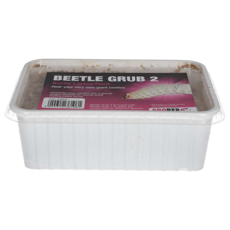 ProRep Beetle Grub 2 - Reptiles By Post