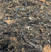 ProRep Bio Life FOREST Substrate - 25 Litre - Reptiles By Post