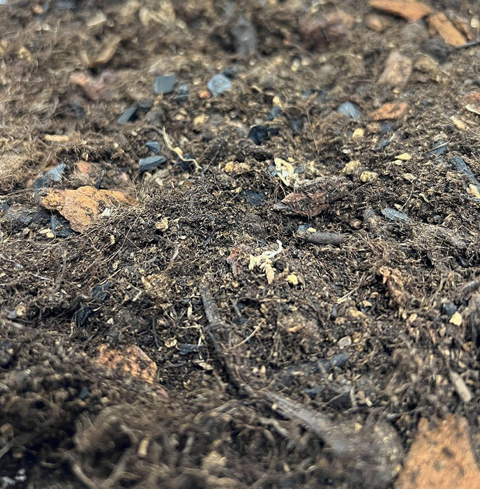 ProRep Bio Life FOREST Substrate - 25 Litre - Reptiles By Post