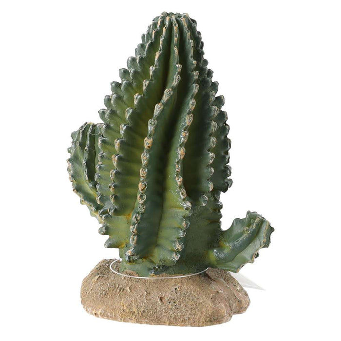 ProRep Cactus 13x7.5x15cm - Reptiles By Post