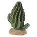 ProRep Cactus 13x7.5x15cm - Reptiles By Post