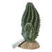 ProRep Cactus 13x7.5x15cm - Reptiles By Post