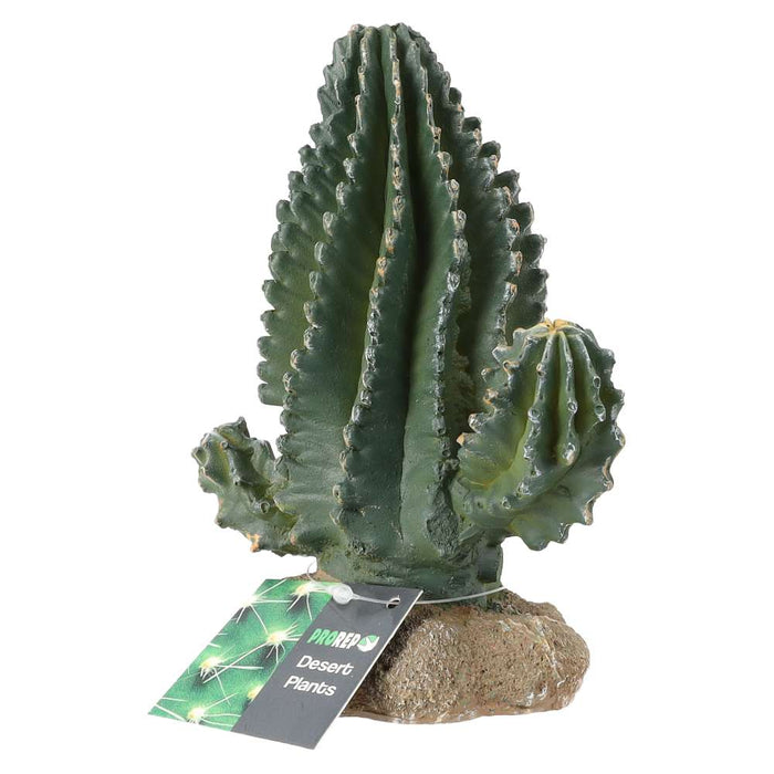 ProRep Cactus 13x7.5x15cm - Reptiles By Post