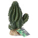 ProRep Cactus 13x7.5x15cm - Reptiles By Post