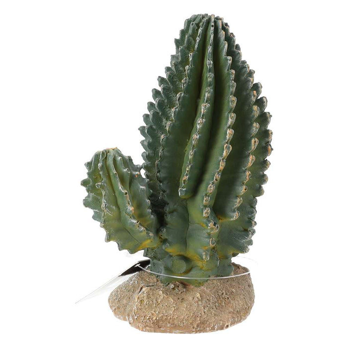 ProRep Cactus 13x7.5x15cm - Reptiles By Post