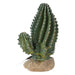 ProRep Cactus 13x7.5x15cm - Reptiles By Post