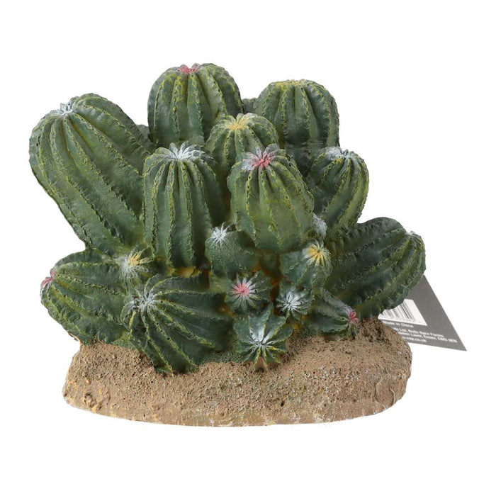 ProRep Cactus Cluster 12x10.5x11cm - Reptiles By Post