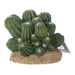 ProRep Cactus Cluster 12x10.5x11cm - Reptiles By Post