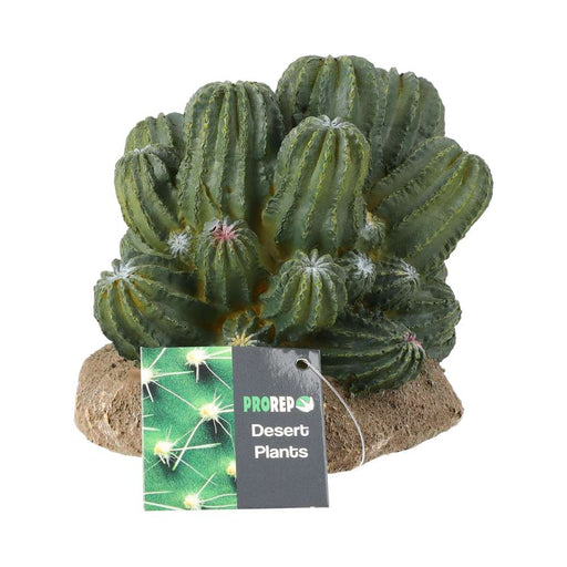 ProRep Cactus Cluster 12x10.5x11cm - Reptiles By Post