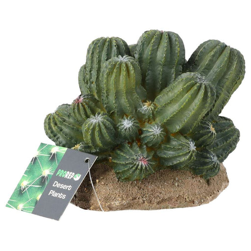 ProRep Cactus Cluster 12x10.5x11cm - Reptiles By Post