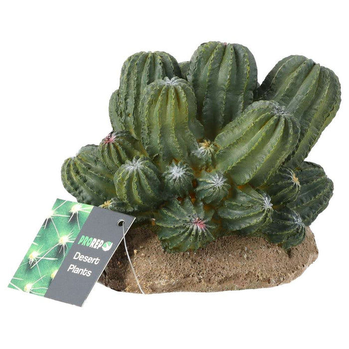 ProRep Cactus Cluster 12x10.5x11cm - Reptiles By Post
