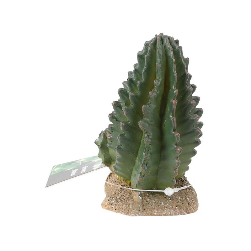 ProRep Cactus Group 9x5.5x10cm - Reptiles By Post