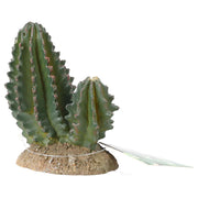 ProRep Cactus Group 9x5.5x10cm - Reptiles By Post