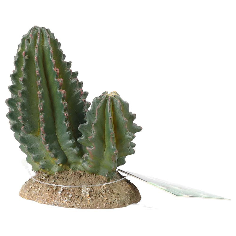 ProRep Cactus Group 9x5.5x10cm - Reptiles By Post