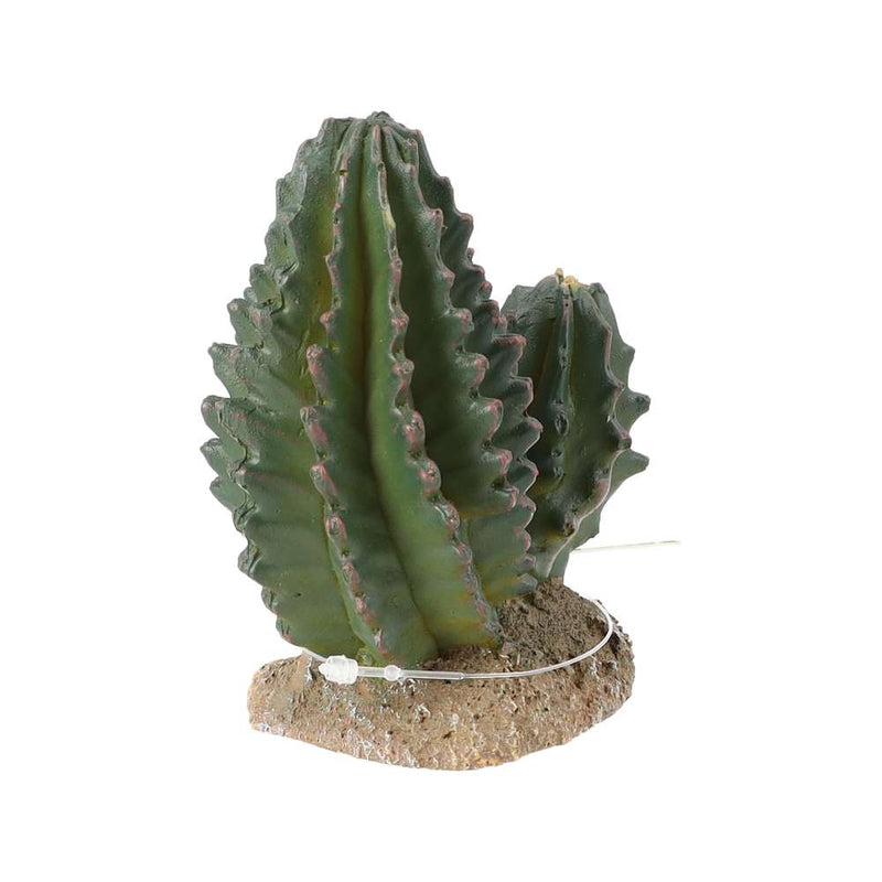 ProRep Cactus Group 9x5.5x10cm - Reptiles By Post