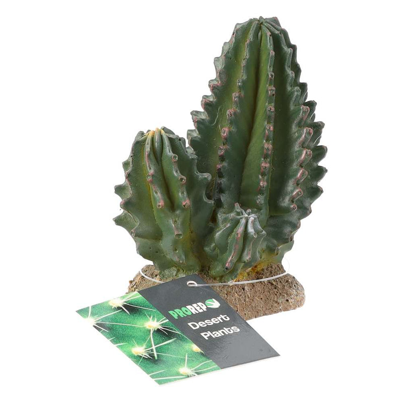 ProRep Cactus Group 9x5.5x10cm - Reptiles By Post