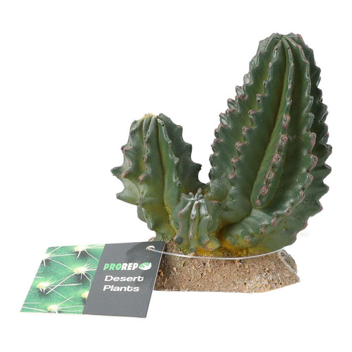 ProRep Cactus Group 9x5.5x10cm - Reptiles By Post