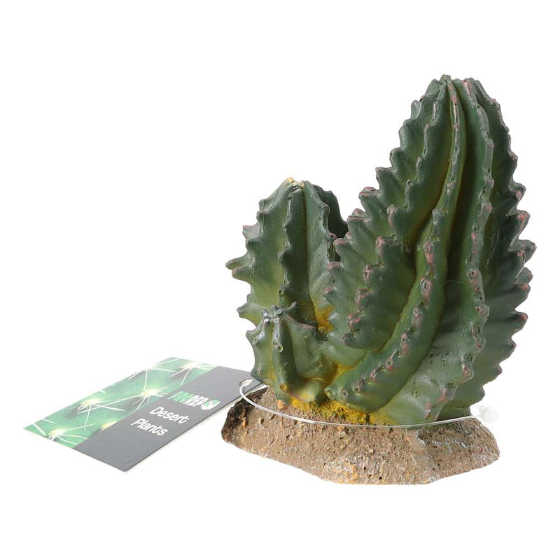 ProRep Cactus Group 9x5.5x10cm - Reptiles By Post