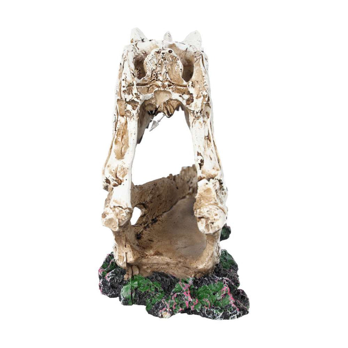 ProRep Ceratosuarus Skull 19x9x14cm - Reptiles By Post