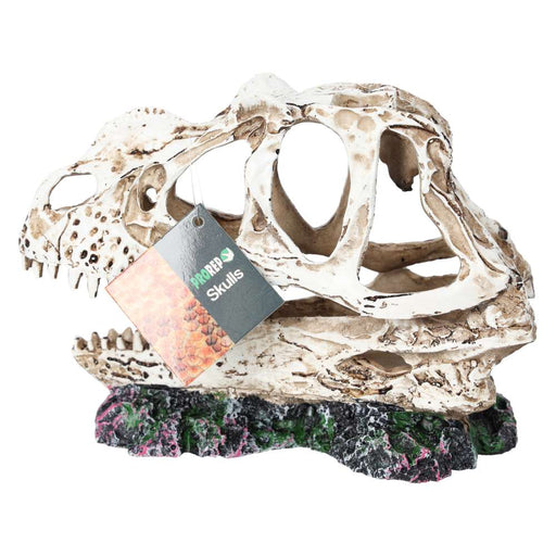 ProRep Ceratosuarus Skull 19x9x14cm - Reptiles By Post