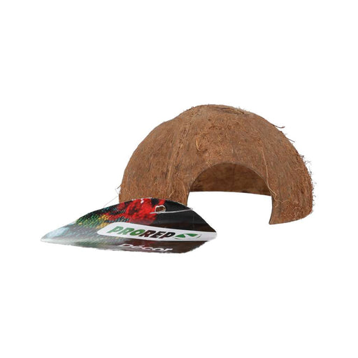 ProRep Coco Dome - DPD005 - Reptiles By Post