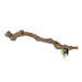ProRep Cork Oak Branch - 80 - 100cm - Reptiles By Post