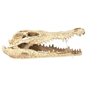 ProRep Crocodile Skull 24x11.5x9cm - Reptiles By Post