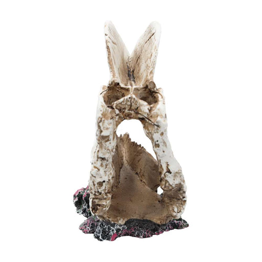 ProRep Dilophosaurus Skull - Reptiles By Post