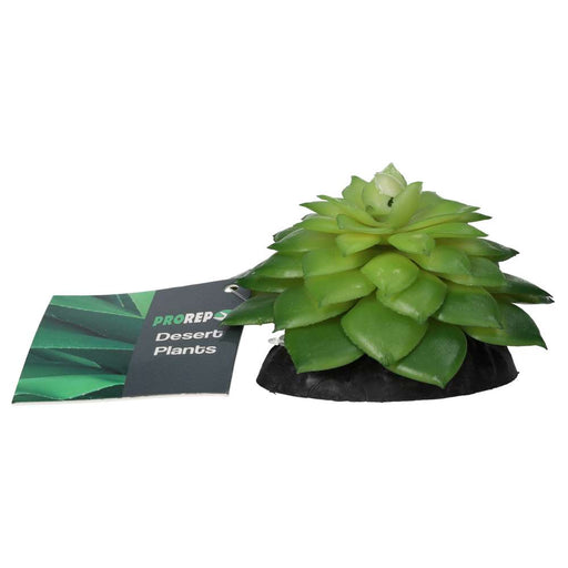 ProRep E Salsaverde Plant 10cm - Reptiles By Post