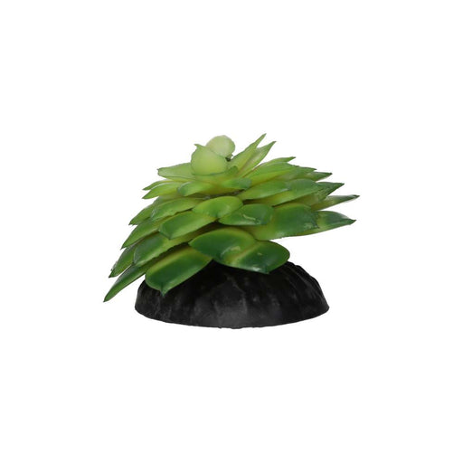 ProRep E Salsaverde Plant 10cm - Reptiles By Post