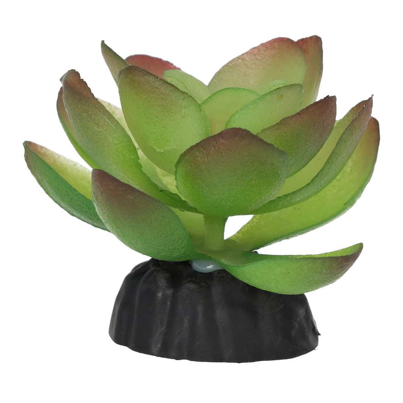 ProRep Echiveria Plant 10cm - Reptiles By Post