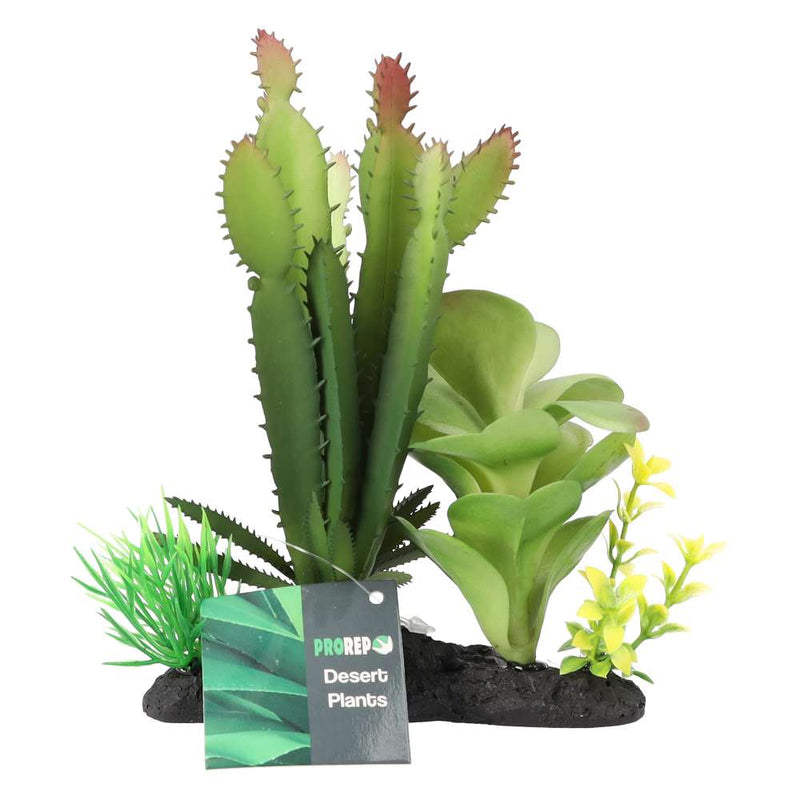 ProRep Euphorbia Plant on Log 15cm - Reptiles By Post