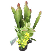 ProRep Euphorbia Plant on Log 15cm - Reptiles By Post