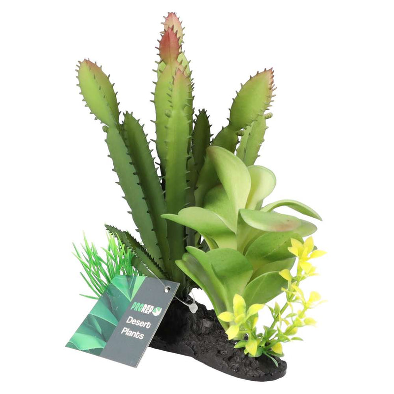 ProRep Euphorbia Plant on Log 15cm - Reptiles By Post