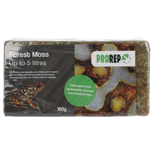 ProRep Forest Moss Brick 100g - Reptiles By Post