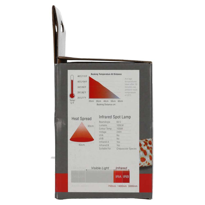 ProRep Infrared Spot Lamp 100w BC - Reptiles By Post