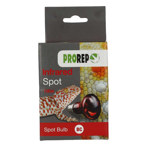 ProRep Infrared Spot Lamp 100w BC - Reptiles By Post