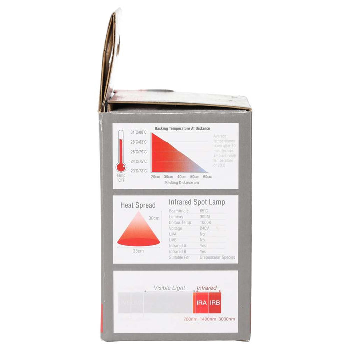 ProRep Infrared Spot Lamp 40w BC - Reptiles By Post