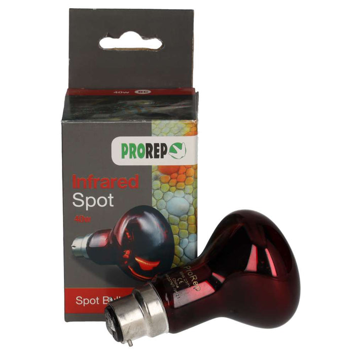 ProRep Infrared Spot Lamp 40w BC - Reptiles By Post