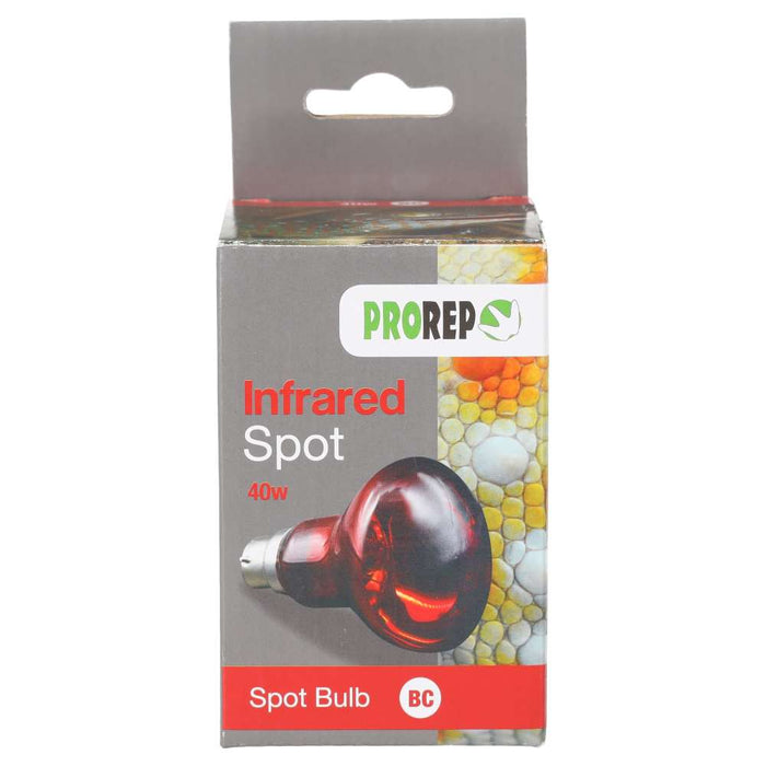 ProRep Infrared Spot Lamp 40w BC - Reptiles By Post