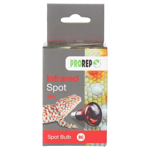ProRep Infrared Spot Lamp 60w BC - Reptiles By Post
